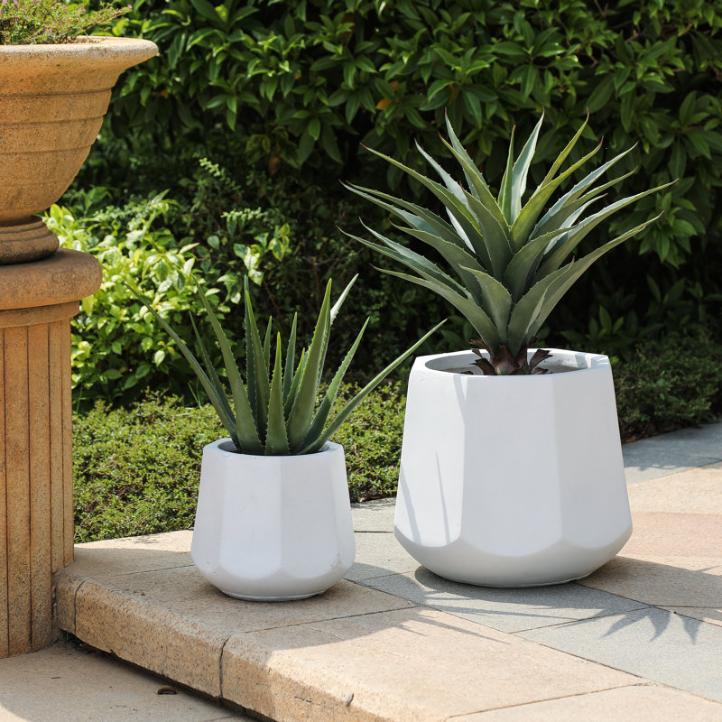 Versus 2Piece MgO Pot Planter Set Joss & Main